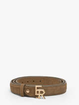 Belt Equestre Croco Etrier Brown equestre croco EECQ414C