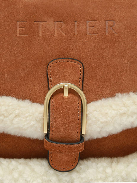 Shoulder Bag Alpin Leather Etrier Brown alpin EALP050S other view 5