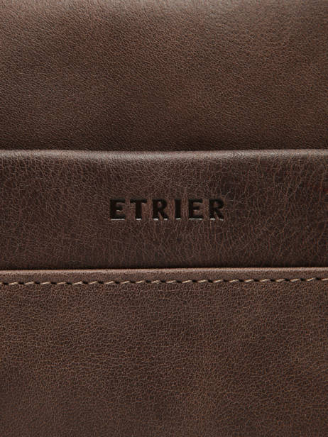Crossbody Bag Spider Etrier Brown spider ESPI710M other view 5