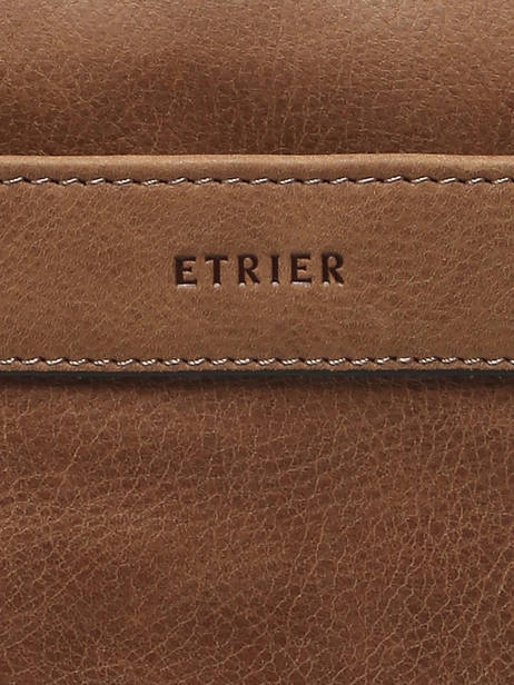 Leather Spider Crossbody Bag Etrier Brown spider ESPI704M other view 5